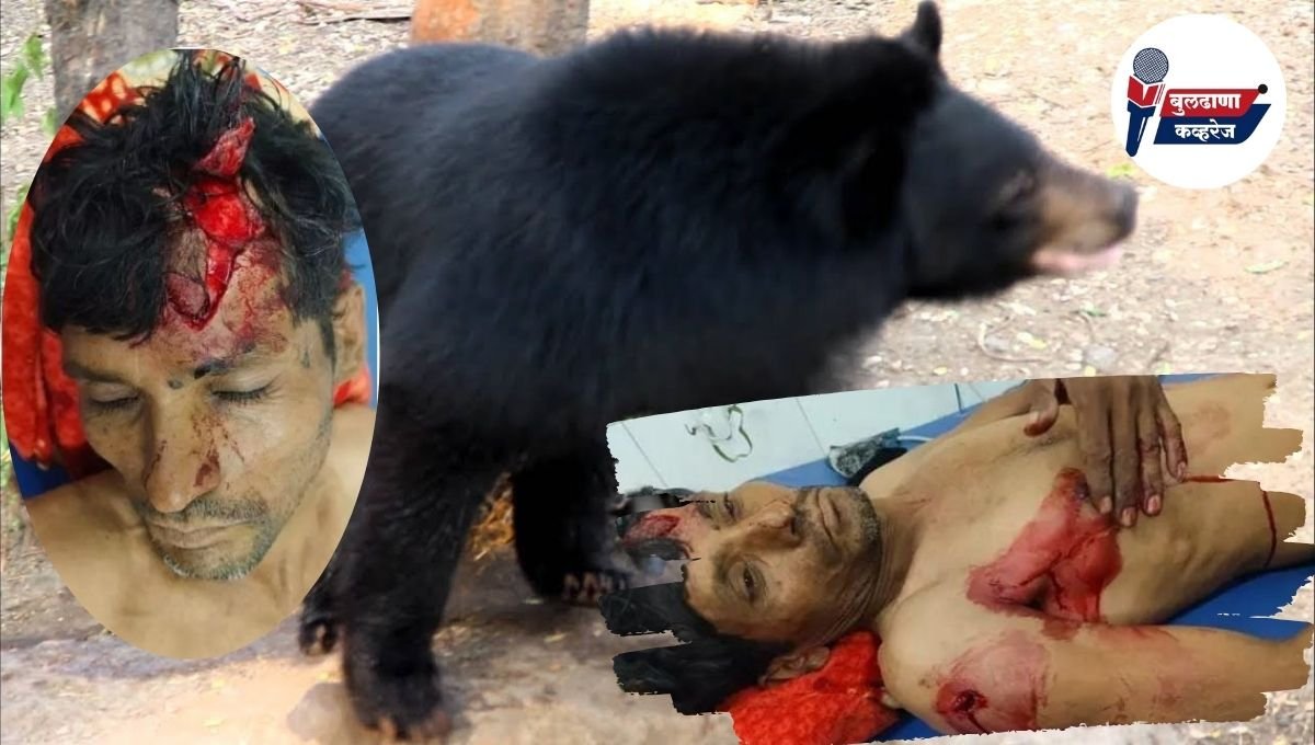 करवंड येथील शेतकऱ्यावर अस्वलाने केला हल्ला; शेतकऱ्याची प्रकृती गंभीर