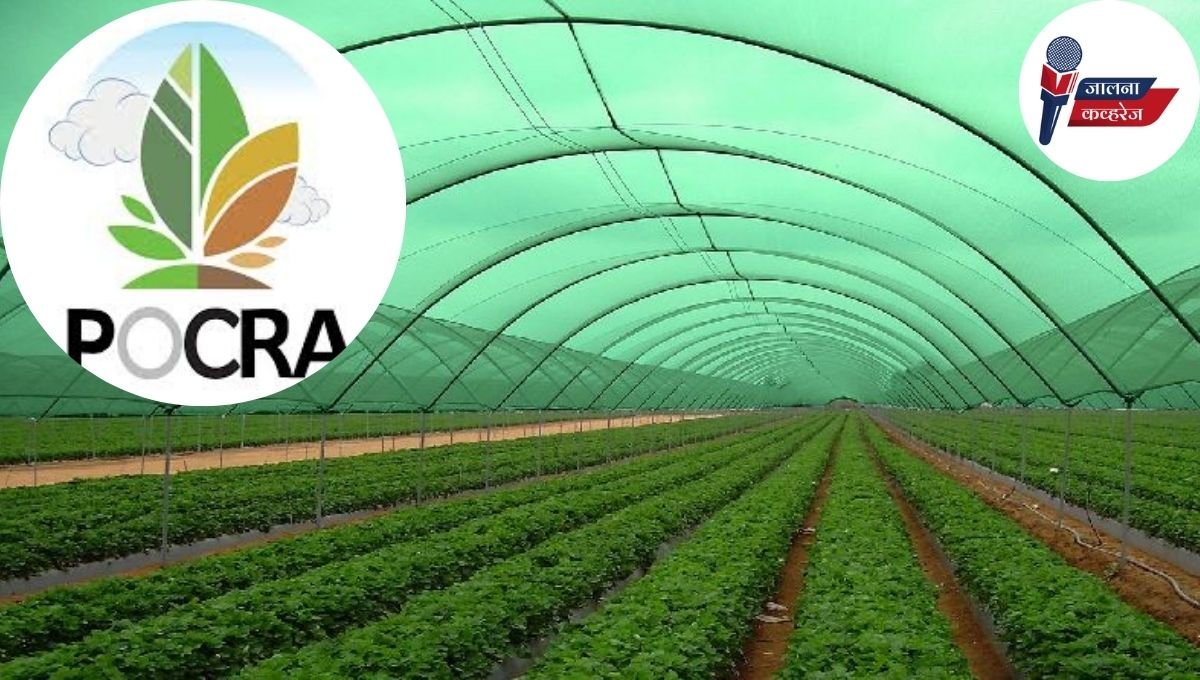 Jalna POCRA Scam: जालन्यामध्ये पोखरा योजनेत अडीच कोटींचा घोटाळा; 39 लाभार्थ्यांना दिला नियमबाह्य लाभ