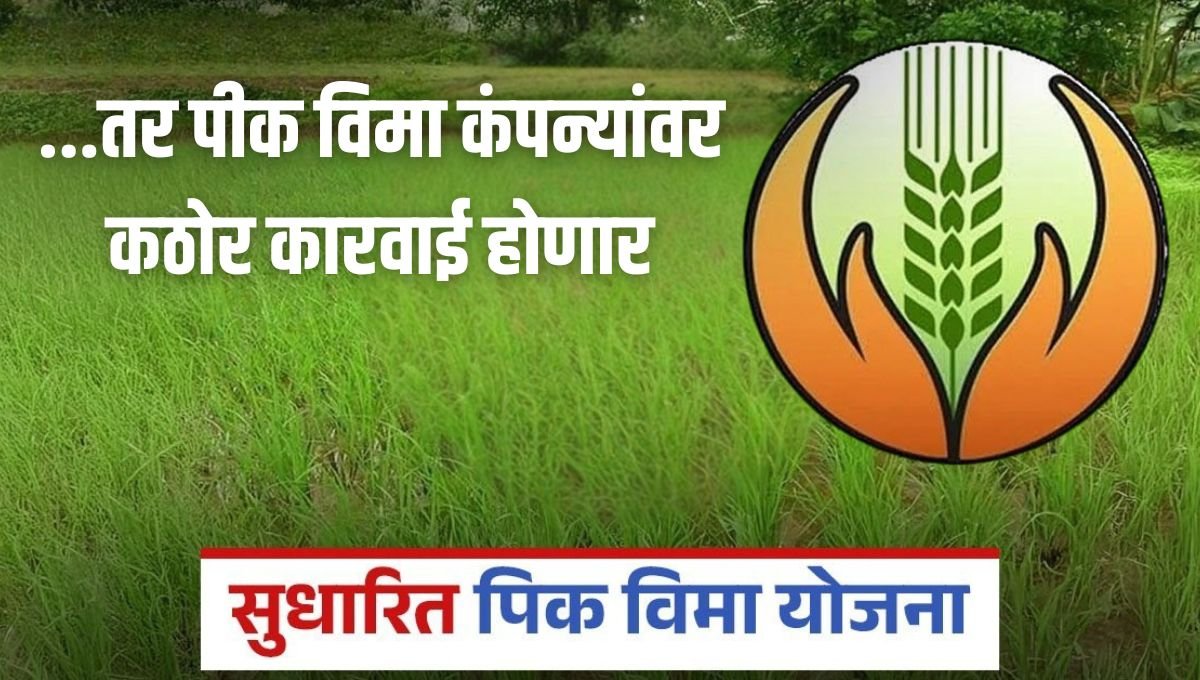 शेतकऱ्यांना फसवणाऱ्या पीक विमा कंपन्यांवर कठोर कारवाई होणार, सुधारित पीक विमा योजनेची घोषणा